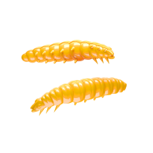 LARVA