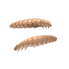 Larva 45 (035) (Сыр) 8 шт.
