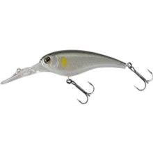 SHAD IS WASP 55